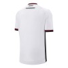 Original Fußballtrikot Albanien Auswärtstrikot 2025-26 Für Herren